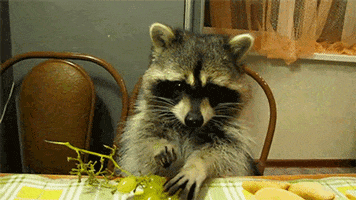 200.gif