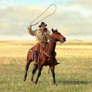 cowboy bill