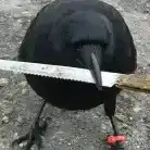 Cr0w