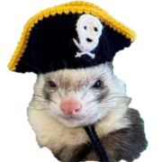 darkmouse