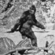 bigfoot